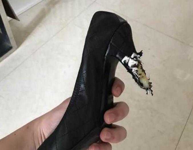 开云电竞app下载安装