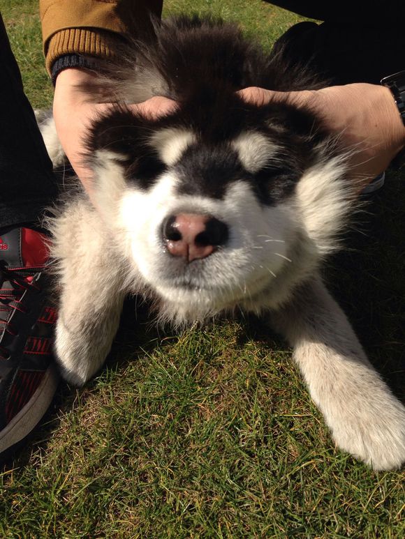 开云电竞app下载安装