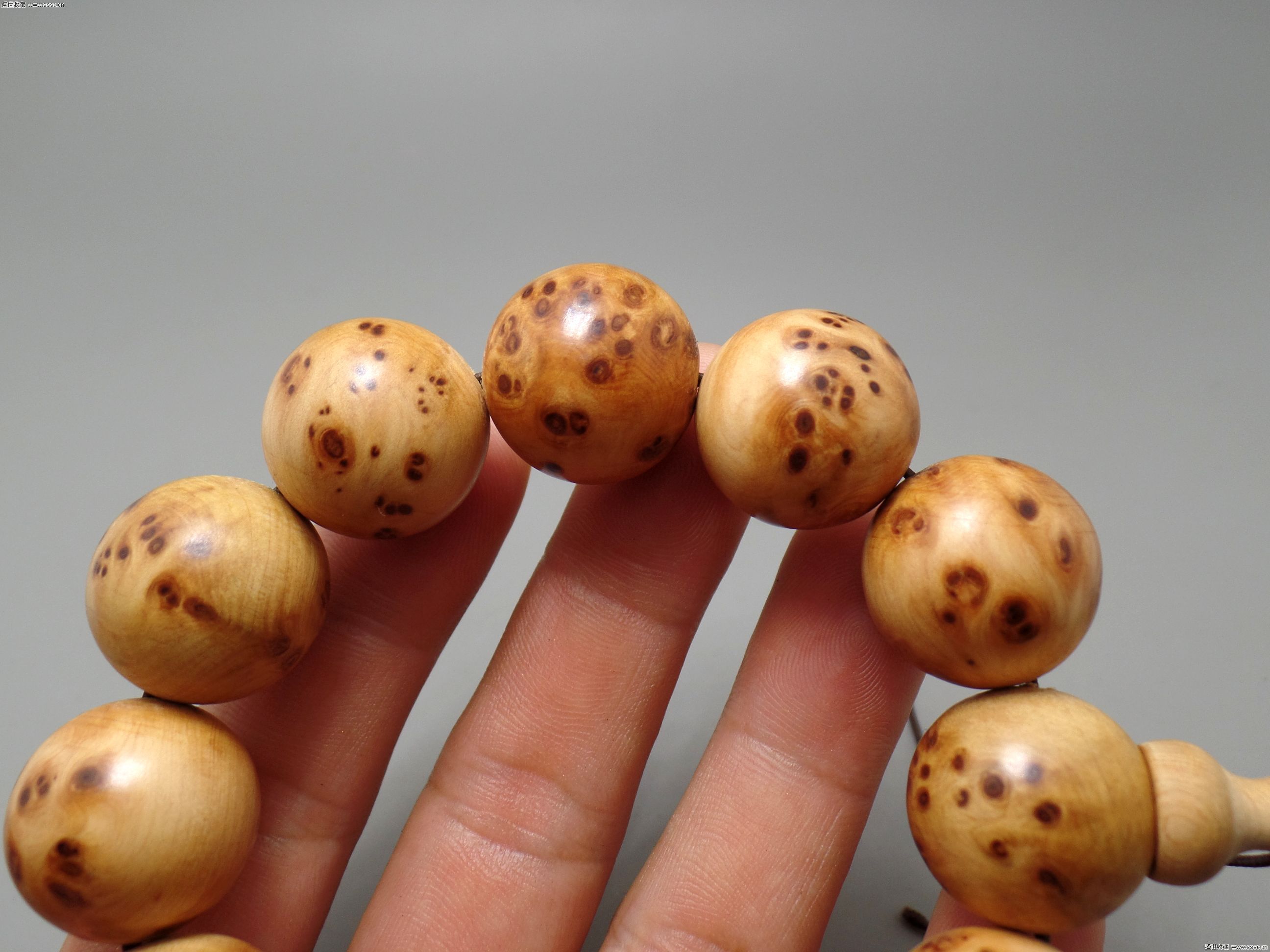 开云电竞app下载安装